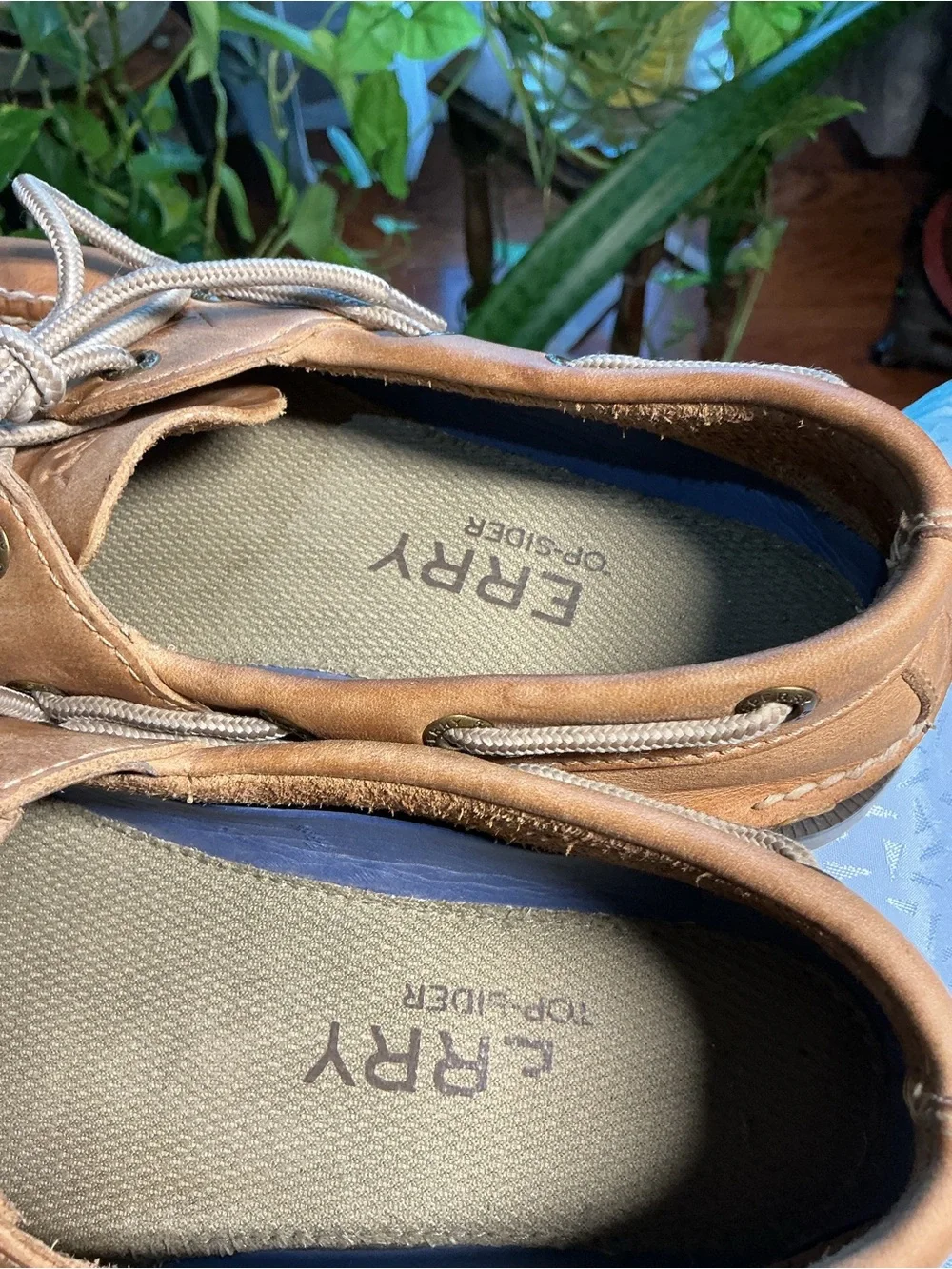Sperry Chestnut Leather 2-Eye Boat Shoes